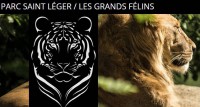 BON PLAN entrée a prix réduit parc de Saint-Leger « Les grands Félins »